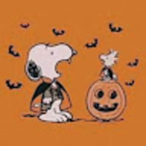 Meet your Posher, Zoe